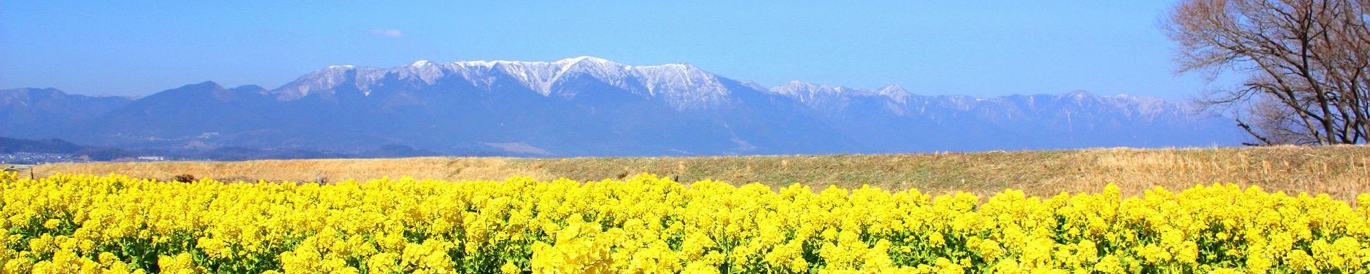 滋賀県守山なぎさ公園